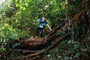 BIB: 9510
                            <button type="button" onclick="openModal(22362852)" class="btn btn-primary btn-sm float-right btn-popup" data-toggle="modal" data-target=".modal-high-quality">
                        <i class="fas fa-shopping-cart"></i> Add to Cart
                    </button>
                                            <button type="button" onclick="isThisMe(22362852, true)" class="btn btn-success btn-sm float-right btn-popup btn-isme hidden" data-toggle="tooltip" data-placement="bottom" title="นี่คือรูปของคุณใช่ไหม คลิกที่นี่เพื่อเอาเข้าอัลบั้ม">
                        <i class="fas fa-plus"></i> Add to album
                    </button>
                    <button type="button" onclick="isThisMe(22362852, false)" class="btn btn-warning btn-sm float-right btn-popup btn-isnotme hidden">
                        <i class="fas fa-ban"></i> Remove from album
                    </button>