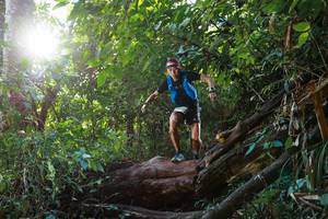 BIB: 
                            <button type="button" onclick="openModal(22357195)" class="btn btn-primary btn-sm float-right btn-popup" data-toggle="modal" data-target=".modal-high-quality">
                        <i class="fas fa-shopping-cart"></i> Add to Cart
                    </button>
                                            <button type="button" onclick="isThisMe(22357195, true)" class="btn btn-success btn-sm float-right btn-popup btn-isme hidden" data-toggle="tooltip" data-placement="bottom" title="นี่คือรูปของคุณใช่ไหม คลิกที่นี่เพื่อเอาเข้าอัลบั้ม">
                        <i class="fas fa-plus"></i> Add to album
                    </button>
                    <button type="button" onclick="isThisMe(22357195, false)" class="btn btn-warning btn-sm float-right btn-popup btn-isnotme hidden">
                        <i class="fas fa-ban"></i> Remove from album
                    </button>