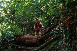 BIB: 
                            <button type="button" onclick="openModal(22359056)" class="btn btn-primary btn-sm float-right btn-popup" data-toggle="modal" data-target=".modal-high-quality">
                        <i class="fas fa-shopping-cart"></i> Add to Cart
                    </button>
                                            <button type="button" onclick="isThisMe(22359056, true)" class="btn btn-success btn-sm float-right btn-popup btn-isme hidden" data-toggle="tooltip" data-placement="bottom" title="นี่คือรูปของคุณใช่ไหม คลิกที่นี่เพื่อเอาเข้าอัลบั้ม">
                        <i class="fas fa-plus"></i> Add to album
                    </button>
                    <button type="button" onclick="isThisMe(22359056, false)" class="btn btn-warning btn-sm float-right btn-popup btn-isnotme hidden">
                        <i class="fas fa-ban"></i> Remove from album
                    </button>