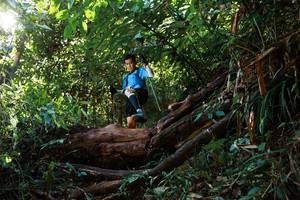 BIB: 
                            <button type="button" onclick="openModal(22361279)" class="btn btn-primary btn-sm float-right btn-popup" data-toggle="modal" data-target=".modal-high-quality">
                        <i class="fas fa-shopping-cart"></i> Add to Cart
                    </button>
                                            <button type="button" onclick="isThisMe(22361279, true)" class="btn btn-success btn-sm float-right btn-popup btn-isme hidden" data-toggle="tooltip" data-placement="bottom" title="นี่คือรูปของคุณใช่ไหม คลิกที่นี่เพื่อเอาเข้าอัลบั้ม">
                        <i class="fas fa-plus"></i> Add to album
                    </button>
                    <button type="button" onclick="isThisMe(22361279, false)" class="btn btn-warning btn-sm float-right btn-popup btn-isnotme hidden">
                        <i class="fas fa-ban"></i> Remove from album
                    </button>