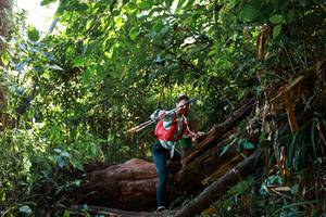 BIB: 
                            <button type="button" onclick="openModal(22360715)" class="btn btn-primary btn-sm float-right btn-popup" data-toggle="modal" data-target=".modal-high-quality">
                        <i class="fas fa-shopping-cart"></i> Add to Cart
                    </button>
                                            <button type="button" onclick="isThisMe(22360715, true)" class="btn btn-success btn-sm float-right btn-popup btn-isme hidden" data-toggle="tooltip" data-placement="bottom" title="นี่คือรูปของคุณใช่ไหม คลิกที่นี่เพื่อเอาเข้าอัลบั้ม">
                        <i class="fas fa-plus"></i> Add to album
                    </button>
                    <button type="button" onclick="isThisMe(22360715, false)" class="btn btn-warning btn-sm float-right btn-popup btn-isnotme hidden">
                        <i class="fas fa-ban"></i> Remove from album
                    </button>