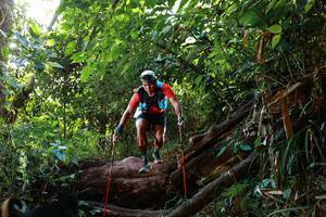 BIB: 
                            <button type="button" onclick="openModal(22357246)" class="btn btn-primary btn-sm float-right btn-popup" data-toggle="modal" data-target=".modal-high-quality">
                        <i class="fas fa-shopping-cart"></i> Add to Cart
                    </button>
                                            <button type="button" onclick="isThisMe(22357246, true)" class="btn btn-success btn-sm float-right btn-popup btn-isme hidden" data-toggle="tooltip" data-placement="bottom" title="นี่คือรูปของคุณใช่ไหม คลิกที่นี่เพื่อเอาเข้าอัลบั้ม">
                        <i class="fas fa-plus"></i> Add to album
                    </button>
                    <button type="button" onclick="isThisMe(22357246, false)" class="btn btn-warning btn-sm float-right btn-popup btn-isnotme hidden">
                        <i class="fas fa-ban"></i> Remove from album
                    </button>