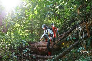 BIB: 
                            <button type="button" onclick="openModal(22364650)" class="btn btn-primary btn-sm float-right btn-popup" data-toggle="modal" data-target=".modal-high-quality">
                        <i class="fas fa-shopping-cart"></i> Add to Cart
                    </button>
                                            <button type="button" onclick="isThisMe(22364650, true)" class="btn btn-success btn-sm float-right btn-popup btn-isme hidden" data-toggle="tooltip" data-placement="bottom" title="นี่คือรูปของคุณใช่ไหม คลิกที่นี่เพื่อเอาเข้าอัลบั้ม">
                        <i class="fas fa-plus"></i> Add to album
                    </button>
                    <button type="button" onclick="isThisMe(22364650, false)" class="btn btn-warning btn-sm float-right btn-popup btn-isnotme hidden">
                        <i class="fas fa-ban"></i> Remove from album
                    </button>