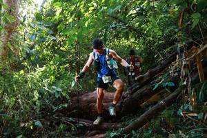 BIB: 507
                            <button type="button" onclick="openModal(22360449)" class="btn btn-primary btn-sm float-right btn-popup" data-toggle="modal" data-target=".modal-high-quality">
                        <i class="fas fa-shopping-cart"></i> Add to Cart
                    </button>
                                            <button type="button" onclick="isThisMe(22360449, true)" class="btn btn-success btn-sm float-right btn-popup btn-isme hidden" data-toggle="tooltip" data-placement="bottom" title="นี่คือรูปของคุณใช่ไหม คลิกที่นี่เพื่อเอาเข้าอัลบั้ม">
                        <i class="fas fa-plus"></i> Add to album
                    </button>
                    <button type="button" onclick="isThisMe(22360449, false)" class="btn btn-warning btn-sm float-right btn-popup btn-isnotme hidden">
                        <i class="fas fa-ban"></i> Remove from album
                    </button>