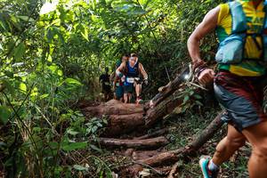 BIB: 
                            <button type="button" onclick="openModal(22356972)" class="btn btn-primary btn-sm float-right btn-popup" data-toggle="modal" data-target=".modal-high-quality">
                        <i class="fas fa-shopping-cart"></i> Add to Cart
                    </button>
                                            <button type="button" onclick="isThisMe(22356972, true)" class="btn btn-success btn-sm float-right btn-popup btn-isme hidden" data-toggle="tooltip" data-placement="bottom" title="นี่คือรูปของคุณใช่ไหม คลิกที่นี่เพื่อเอาเข้าอัลบั้ม">
                        <i class="fas fa-plus"></i> Add to album
                    </button>
                    <button type="button" onclick="isThisMe(22356972, false)" class="btn btn-warning btn-sm float-right btn-popup btn-isnotme hidden">
                        <i class="fas fa-ban"></i> Remove from album
                    </button>