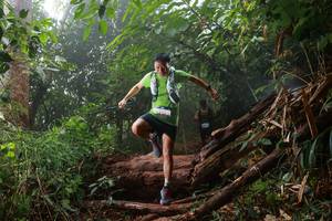 BIB: 
                            <button type="button" onclick="openModal(22369383)" class="btn btn-primary btn-sm float-right btn-popup" data-toggle="modal" data-target=".modal-high-quality">
                        <i class="fas fa-shopping-cart"></i> Add to Cart
                    </button>
                                            <button type="button" onclick="isThisMe(22369383, true)" class="btn btn-success btn-sm float-right btn-popup btn-isme hidden" data-toggle="tooltip" data-placement="bottom" title="นี่คือรูปของคุณใช่ไหม คลิกที่นี่เพื่อเอาเข้าอัลบั้ม">
                        <i class="fas fa-plus"></i> Add to album
                    </button>
                    <button type="button" onclick="isThisMe(22369383, false)" class="btn btn-warning btn-sm float-right btn-popup btn-isnotme hidden">
                        <i class="fas fa-ban"></i> Remove from album
                    </button>