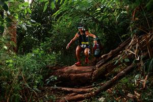 BIB: 
                            <button type="button" onclick="openModal(22363014)" class="btn btn-primary btn-sm float-right btn-popup" data-toggle="modal" data-target=".modal-high-quality">
                        <i class="fas fa-shopping-cart"></i> Add to Cart
                    </button>
                                            <button type="button" onclick="isThisMe(22363014, true)" class="btn btn-success btn-sm float-right btn-popup btn-isme hidden" data-toggle="tooltip" data-placement="bottom" title="นี่คือรูปของคุณใช่ไหม คลิกที่นี่เพื่อเอาเข้าอัลบั้ม">
                        <i class="fas fa-plus"></i> Add to album
                    </button>
                    <button type="button" onclick="isThisMe(22363014, false)" class="btn btn-warning btn-sm float-right btn-popup btn-isnotme hidden">
                        <i class="fas fa-ban"></i> Remove from album
                    </button>