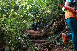 BIB: 
                            <button type="button" onclick="openModal(22356696)" class="btn btn-primary btn-sm float-right btn-popup" data-toggle="modal" data-target=".modal-high-quality">
                        <i class="fas fa-shopping-cart"></i> Add to Cart
                    </button>
                                            <button type="button" onclick="isThisMe(22356696, true)" class="btn btn-success btn-sm float-right btn-popup btn-isme hidden" data-toggle="tooltip" data-placement="bottom" title="นี่คือรูปของคุณใช่ไหม คลิกที่นี่เพื่อเอาเข้าอัลบั้ม">
                        <i class="fas fa-plus"></i> Add to album
                    </button>
                    <button type="button" onclick="isThisMe(22356696, false)" class="btn btn-warning btn-sm float-right btn-popup btn-isnotme hidden">
                        <i class="fas fa-ban"></i> Remove from album
                    </button>