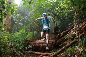 BIB: 5375, 
                            <button type="button" onclick="openModal(22366224)" class="btn btn-primary btn-sm float-right btn-popup" data-toggle="modal" data-target=".modal-high-quality">
                        <i class="fas fa-shopping-cart"></i> Add to Cart
                    </button>
                                            <button type="button" onclick="isThisMe(22366224, true)" class="btn btn-success btn-sm float-right btn-popup btn-isme hidden" data-toggle="tooltip" data-placement="bottom" title="นี่คือรูปของคุณใช่ไหม คลิกที่นี่เพื่อเอาเข้าอัลบั้ม">
                        <i class="fas fa-plus"></i> Add to album
                    </button>
                    <button type="button" onclick="isThisMe(22366224, false)" class="btn btn-warning btn-sm float-right btn-popup btn-isnotme hidden">
                        <i class="fas fa-ban"></i> Remove from album
                    </button>