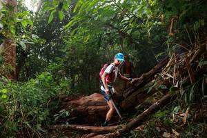 BIB: 
                            <button type="button" onclick="openModal(22369750)" class="btn btn-primary btn-sm float-right btn-popup" data-toggle="modal" data-target=".modal-high-quality">
                        <i class="fas fa-shopping-cart"></i> Add to Cart
                    </button>
                                            <button type="button" onclick="isThisMe(22369750, true)" class="btn btn-success btn-sm float-right btn-popup btn-isme hidden" data-toggle="tooltip" data-placement="bottom" title="นี่คือรูปของคุณใช่ไหม คลิกที่นี่เพื่อเอาเข้าอัลบั้ม">
                        <i class="fas fa-plus"></i> Add to album
                    </button>
                    <button type="button" onclick="isThisMe(22369750, false)" class="btn btn-warning btn-sm float-right btn-popup btn-isnotme hidden">
                        <i class="fas fa-ban"></i> Remove from album
                    </button>