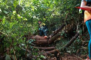 BIB: 
                            <button type="button" onclick="openModal(22356702)" class="btn btn-primary btn-sm float-right btn-popup" data-toggle="modal" data-target=".modal-high-quality">
                        <i class="fas fa-shopping-cart"></i> Add to Cart
                    </button>
                                            <button type="button" onclick="isThisMe(22356702, true)" class="btn btn-success btn-sm float-right btn-popup btn-isme hidden" data-toggle="tooltip" data-placement="bottom" title="นี่คือรูปของคุณใช่ไหม คลิกที่นี่เพื่อเอาเข้าอัลบั้ม">
                        <i class="fas fa-plus"></i> Add to album
                    </button>
                    <button type="button" onclick="isThisMe(22356702, false)" class="btn btn-warning btn-sm float-right btn-popup btn-isnotme hidden">
                        <i class="fas fa-ban"></i> Remove from album
                    </button>