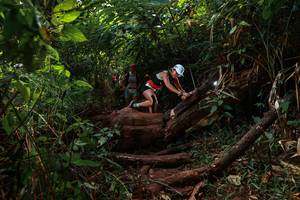 BIB: 
                            <button type="button" onclick="openModal(22357266)" class="btn btn-primary btn-sm float-right btn-popup" data-toggle="modal" data-target=".modal-high-quality">
                        <i class="fas fa-shopping-cart"></i> Add to Cart
                    </button>
                                            <button type="button" onclick="isThisMe(22357266, true)" class="btn btn-success btn-sm float-right btn-popup btn-isme hidden" data-toggle="tooltip" data-placement="bottom" title="นี่คือรูปของคุณใช่ไหม คลิกที่นี่เพื่อเอาเข้าอัลบั้ม">
                        <i class="fas fa-plus"></i> Add to album
                    </button>
                    <button type="button" onclick="isThisMe(22357266, false)" class="btn btn-warning btn-sm float-right btn-popup btn-isnotme hidden">
                        <i class="fas fa-ban"></i> Remove from album
                    </button>