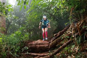 BIB: 
                            <button type="button" onclick="openModal(22366790)" class="btn btn-primary btn-sm float-right btn-popup" data-toggle="modal" data-target=".modal-high-quality">
                        <i class="fas fa-shopping-cart"></i> Add to Cart
                    </button>
                                            <button type="button" onclick="isThisMe(22366790, true)" class="btn btn-success btn-sm float-right btn-popup btn-isme hidden" data-toggle="tooltip" data-placement="bottom" title="นี่คือรูปของคุณใช่ไหม คลิกที่นี่เพื่อเอาเข้าอัลบั้ม">
                        <i class="fas fa-plus"></i> Add to album
                    </button>
                    <button type="button" onclick="isThisMe(22366790, false)" class="btn btn-warning btn-sm float-right btn-popup btn-isnotme hidden">
                        <i class="fas fa-ban"></i> Remove from album
                    </button>