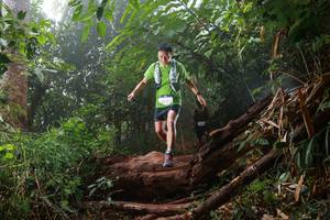 BIB: 
                            <button type="button" onclick="openModal(22369339)" class="btn btn-primary btn-sm float-right btn-popup" data-toggle="modal" data-target=".modal-high-quality">
                        <i class="fas fa-shopping-cart"></i> Add to Cart
                    </button>
                                            <button type="button" onclick="isThisMe(22369339, true)" class="btn btn-success btn-sm float-right btn-popup btn-isme hidden" data-toggle="tooltip" data-placement="bottom" title="นี่คือรูปของคุณใช่ไหม คลิกที่นี่เพื่อเอาเข้าอัลบั้ม">
                        <i class="fas fa-plus"></i> Add to album
                    </button>
                    <button type="button" onclick="isThisMe(22369339, false)" class="btn btn-warning btn-sm float-right btn-popup btn-isnotme hidden">
                        <i class="fas fa-ban"></i> Remove from album
                    </button>