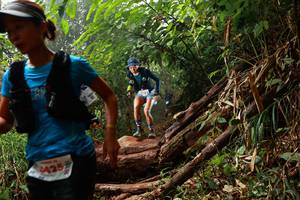 BIB: 425
                            <button type="button" onclick="openModal(22365452)" class="btn btn-primary btn-sm float-right btn-popup" data-toggle="modal" data-target=".modal-high-quality">
                        <i class="fas fa-shopping-cart"></i> Add to Cart
                    </button>
                                            <button type="button" onclick="isThisMe(22365452, true)" class="btn btn-success btn-sm float-right btn-popup btn-isme hidden" data-toggle="tooltip" data-placement="bottom" title="นี่คือรูปของคุณใช่ไหม คลิกที่นี่เพื่อเอาเข้าอัลบั้ม">
                        <i class="fas fa-plus"></i> Add to album
                    </button>
                    <button type="button" onclick="isThisMe(22365452, false)" class="btn btn-warning btn-sm float-right btn-popup btn-isnotme hidden">
                        <i class="fas fa-ban"></i> Remove from album
                    </button>