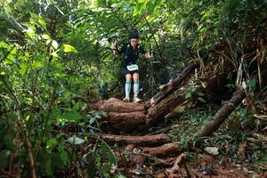 BIB: 9004
                            <button type="button" onclick="openModal(22356746)" class="btn btn-primary btn-sm float-right btn-popup" data-toggle="modal" data-target=".modal-high-quality">
                        <i class="fas fa-shopping-cart"></i> Add to Cart
                    </button>
                                            <button type="button" onclick="isThisMe(22356746, true)" class="btn btn-success btn-sm float-right btn-popup btn-isme hidden" data-toggle="tooltip" data-placement="bottom" title="นี่คือรูปของคุณใช่ไหม คลิกที่นี่เพื่อเอาเข้าอัลบั้ม">
                        <i class="fas fa-plus"></i> Add to album
                    </button>
                    <button type="button" onclick="isThisMe(22356746, false)" class="btn btn-warning btn-sm float-right btn-popup btn-isnotme hidden">
                        <i class="fas fa-ban"></i> Remove from album
                    </button>