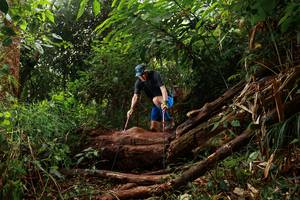 BIB: 
                            <button type="button" onclick="openModal(22364574)" class="btn btn-primary btn-sm float-right btn-popup" data-toggle="modal" data-target=".modal-high-quality">
                        <i class="fas fa-shopping-cart"></i> Add to Cart
                    </button>
                                            <button type="button" onclick="isThisMe(22364574, true)" class="btn btn-success btn-sm float-right btn-popup btn-isme hidden" data-toggle="tooltip" data-placement="bottom" title="นี่คือรูปของคุณใช่ไหม คลิกที่นี่เพื่อเอาเข้าอัลบั้ม">
                        <i class="fas fa-plus"></i> Add to album
                    </button>
                    <button type="button" onclick="isThisMe(22364574, false)" class="btn btn-warning btn-sm float-right btn-popup btn-isnotme hidden">
                        <i class="fas fa-ban"></i> Remove from album
                    </button>