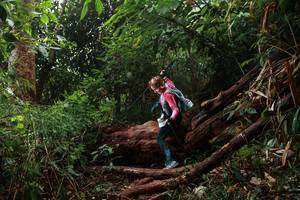 BIB: 
                            <button type="button" onclick="openModal(22355955)" class="btn btn-primary btn-sm float-right btn-popup" data-toggle="modal" data-target=".modal-high-quality">
                        <i class="fas fa-shopping-cart"></i> Add to Cart
                    </button>
                                            <button type="button" onclick="isThisMe(22355955, true)" class="btn btn-success btn-sm float-right btn-popup btn-isme hidden" data-toggle="tooltip" data-placement="bottom" title="นี่คือรูปของคุณใช่ไหม คลิกที่นี่เพื่อเอาเข้าอัลบั้ม">
                        <i class="fas fa-plus"></i> Add to album
                    </button>
                    <button type="button" onclick="isThisMe(22355955, false)" class="btn btn-warning btn-sm float-right btn-popup btn-isnotme hidden">
                        <i class="fas fa-ban"></i> Remove from album
                    </button>