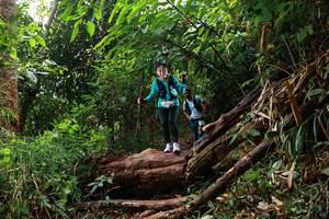 BIB: 
                            <button type="button" onclick="openModal(22356173)" class="btn btn-primary btn-sm float-right btn-popup" data-toggle="modal" data-target=".modal-high-quality">
                        <i class="fas fa-shopping-cart"></i> Add to Cart
                    </button>
                                            <button type="button" onclick="isThisMe(22356173, true)" class="btn btn-success btn-sm float-right btn-popup btn-isme hidden" data-toggle="tooltip" data-placement="bottom" title="นี่คือรูปของคุณใช่ไหม คลิกที่นี่เพื่อเอาเข้าอัลบั้ม">
                        <i class="fas fa-plus"></i> Add to album
                    </button>
                    <button type="button" onclick="isThisMe(22356173, false)" class="btn btn-warning btn-sm float-right btn-popup btn-isnotme hidden">
                        <i class="fas fa-ban"></i> Remove from album
                    </button>