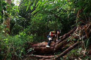 BIB: 
                            <button type="button" onclick="openModal(22356160)" class="btn btn-primary btn-sm float-right btn-popup" data-toggle="modal" data-target=".modal-high-quality">
                        <i class="fas fa-shopping-cart"></i> Add to Cart
                    </button>
                                            <button type="button" onclick="isThisMe(22356160, true)" class="btn btn-success btn-sm float-right btn-popup btn-isme hidden" data-toggle="tooltip" data-placement="bottom" title="นี่คือรูปของคุณใช่ไหม คลิกที่นี่เพื่อเอาเข้าอัลบั้ม">
                        <i class="fas fa-plus"></i> Add to album
                    </button>
                    <button type="button" onclick="isThisMe(22356160, false)" class="btn btn-warning btn-sm float-right btn-popup btn-isnotme hidden">
                        <i class="fas fa-ban"></i> Remove from album
                    </button>