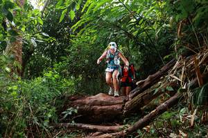 BIB: 
                            <button type="button" onclick="openModal(22356166)" class="btn btn-primary btn-sm float-right btn-popup" data-toggle="modal" data-target=".modal-high-quality">
                        <i class="fas fa-shopping-cart"></i> Add to Cart
                    </button>
                                            <button type="button" onclick="isThisMe(22356166, true)" class="btn btn-success btn-sm float-right btn-popup btn-isme hidden" data-toggle="tooltip" data-placement="bottom" title="นี่คือรูปของคุณใช่ไหม คลิกที่นี่เพื่อเอาเข้าอัลบั้ม">
                        <i class="fas fa-plus"></i> Add to album
                    </button>
                    <button type="button" onclick="isThisMe(22356166, false)" class="btn btn-warning btn-sm float-right btn-popup btn-isnotme hidden">
                        <i class="fas fa-ban"></i> Remove from album
                    </button>