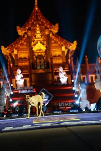 BIB: 
                            <button type="button" onclick="openModal(22473078)" class="btn btn-primary btn-sm float-right btn-popup" data-toggle="modal" data-target=".modal-high-quality">
                        <i class="fas fa-shopping-cart"></i> Add to Cart
                    </button>
                                            <button type="button" onclick="isThisMe(22473078, true)" class="btn btn-success btn-sm float-right btn-popup btn-isme hidden" data-toggle="tooltip" data-placement="bottom" title="นี่คือรูปของคุณใช่ไหม คลิกที่นี่เพื่อเอาเข้าอัลบั้ม">
                        <i class="fas fa-plus"></i> Add to album
                    </button>
                    <button type="button" onclick="isThisMe(22473078, false)" class="btn btn-warning btn-sm float-right btn-popup btn-isnotme hidden">
                        <i class="fas fa-ban"></i> Remove from album
                    </button>