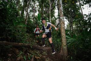 BIB: 
                            <button type="button" onclick="openModal(22607554)" class="btn btn-primary btn-sm float-right btn-popup" data-toggle="modal" data-target=".modal-high-quality">
                        <i class="fas fa-shopping-cart"></i> Add to Cart
                    </button>
                                            <button type="button" onclick="isThisMe(22607554, true)" class="btn btn-success btn-sm float-right btn-popup btn-isme hidden" data-toggle="tooltip" data-placement="bottom" title="นี่คือรูปของคุณใช่ไหม คลิกที่นี่เพื่อเอาเข้าอัลบั้ม">
                        <i class="fas fa-plus"></i> Add to album
                    </button>
                    <button type="button" onclick="isThisMe(22607554, false)" class="btn btn-warning btn-sm float-right btn-popup btn-isnotme hidden">
                        <i class="fas fa-ban"></i> Remove from album
                    </button>