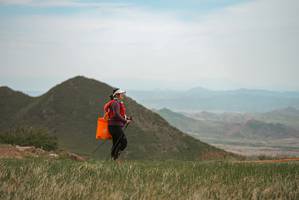 BIB: 
                            <button type="button" onclick="openModal(26558240)" class="btn btn-primary btn-sm float-right btn-popup" data-toggle="modal" data-target=".modal-high-quality">
                        <i class="fas fa-shopping-cart"></i> Add to Cart
                    </button>
                                            <button type="button" onclick="isThisMe(26558240, true)" class="btn btn-success btn-sm float-right btn-popup btn-isme hidden" data-toggle="tooltip" data-placement="bottom" title="นี่คือรูปของคุณใช่ไหม คลิกที่นี่เพื่อเอาเข้าอัลบั้ม">
                        <i class="fas fa-plus"></i> Add to album
                    </button>
                    <button type="button" onclick="isThisMe(26558240, false)" class="btn btn-warning btn-sm float-right btn-popup btn-isnotme hidden">
                        <i class="fas fa-ban"></i> Remove from album
                    </button>