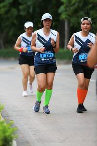 BIB: 2342
                            <button type="button" onclick="openModal(4664065)" class="btn btn-primary btn-sm float-right btn-popup" data-toggle="modal" data-target=".modal-high-quality">
                        <i class="fas fa-shopping-cart"></i> Add to Cart
                    </button>
                                            <button type="button" onclick="isThisMe(4664065, true)" class="btn btn-success btn-sm float-right btn-popup btn-isme hidden" data-toggle="tooltip" data-placement="bottom" title="นี่คือรูปของคุณใช่ไหม คลิกที่นี่เพื่อเอาเข้าอัลบั้ม">
                        <i class="fas fa-plus"></i> Add to album
                    </button>
                    <button type="button" onclick="isThisMe(4664065, false)" class="btn btn-warning btn-sm float-right btn-popup btn-isnotme hidden">
                        <i class="fas fa-ban"></i> Remove from album
                    </button>