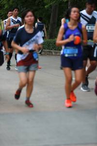 BIB: 
                            <button type="button" onclick="openModal(4656489)" class="btn btn-primary btn-sm float-right btn-popup" data-toggle="modal" data-target=".modal-high-quality">
                        <i class="fas fa-shopping-cart"></i> Add to Cart
                    </button>
                                            <button type="button" onclick="isThisMe(4656489, true)" class="btn btn-success btn-sm float-right btn-popup btn-isme hidden" data-toggle="tooltip" data-placement="bottom" title="นี่คือรูปของคุณใช่ไหม คลิกที่นี่เพื่อเอาเข้าอัลบั้ม">
                        <i class="fas fa-plus"></i> Add to album
                    </button>
                    <button type="button" onclick="isThisMe(4656489, false)" class="btn btn-warning btn-sm float-right btn-popup btn-isnotme hidden">
                        <i class="fas fa-ban"></i> Remove from album
                    </button>