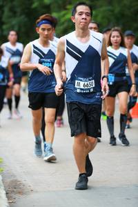 BIB: 
                            <button type="button" onclick="openModal(4656442)" class="btn btn-primary btn-sm float-right btn-popup" data-toggle="modal" data-target=".modal-high-quality">
                        <i class="fas fa-shopping-cart"></i> Add to Cart
                    </button>
                                            <button type="button" onclick="isThisMe(4656442, true)" class="btn btn-success btn-sm float-right btn-popup btn-isme hidden" data-toggle="tooltip" data-placement="bottom" title="นี่คือรูปของคุณใช่ไหม คลิกที่นี่เพื่อเอาเข้าอัลบั้ม">
                        <i class="fas fa-plus"></i> Add to album
                    </button>
                    <button type="button" onclick="isThisMe(4656442, false)" class="btn btn-warning btn-sm float-right btn-popup btn-isnotme hidden">
                        <i class="fas fa-ban"></i> Remove from album
                    </button>