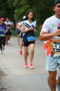 BIB: 
                            <button type="button" onclick="openModal(4662044)" class="btn btn-primary btn-sm float-right btn-popup" data-toggle="modal" data-target=".modal-high-quality">
                        <i class="fas fa-shopping-cart"></i> Add to Cart
                    </button>
                                            <button type="button" onclick="isThisMe(4662044, true)" class="btn btn-success btn-sm float-right btn-popup btn-isme hidden" data-toggle="tooltip" data-placement="bottom" title="นี่คือรูปของคุณใช่ไหม คลิกที่นี่เพื่อเอาเข้าอัลบั้ม">
                        <i class="fas fa-plus"></i> Add to album
                    </button>
                    <button type="button" onclick="isThisMe(4662044, false)" class="btn btn-warning btn-sm float-right btn-popup btn-isnotme hidden">
                        <i class="fas fa-ban"></i> Remove from album
                    </button>