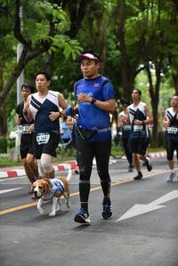 BIB: 5683
                            <button type="button" onclick="openModal(4661127)" class="btn btn-primary btn-sm float-right btn-popup" data-toggle="modal" data-target=".modal-high-quality">
                        <i class="fas fa-shopping-cart"></i> Add to Cart
                    </button>
                                            <button type="button" onclick="isThisMe(4661127, true)" class="btn btn-success btn-sm float-right btn-popup btn-isme hidden" data-toggle="tooltip" data-placement="bottom" title="นี่คือรูปของคุณใช่ไหม คลิกที่นี่เพื่อเอาเข้าอัลบั้ม">
                        <i class="fas fa-plus"></i> Add to album
                    </button>
                    <button type="button" onclick="isThisMe(4661127, false)" class="btn btn-warning btn-sm float-right btn-popup btn-isnotme hidden">
                        <i class="fas fa-ban"></i> Remove from album
                    </button>