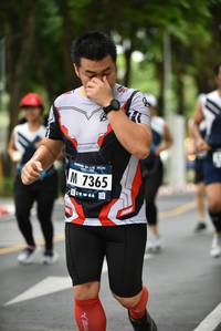 BIB: 7365
                            <button type="button" onclick="openModal(4669721)" class="btn btn-primary btn-sm float-right btn-popup" data-toggle="modal" data-target=".modal-high-quality">
                        <i class="fas fa-shopping-cart"></i> Add to Cart
                    </button>
                                            <button type="button" onclick="isThisMe(4669721, true)" class="btn btn-success btn-sm float-right btn-popup btn-isme hidden" data-toggle="tooltip" data-placement="bottom" title="นี่คือรูปของคุณใช่ไหม คลิกที่นี่เพื่อเอาเข้าอัลบั้ม">
                        <i class="fas fa-plus"></i> Add to album
                    </button>
                    <button type="button" onclick="isThisMe(4669721, false)" class="btn btn-warning btn-sm float-right btn-popup btn-isnotme hidden">
                        <i class="fas fa-ban"></i> Remove from album
                    </button>