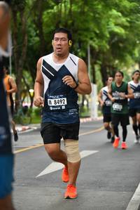 BIB: 8492
                            <button type="button" onclick="openModal(4661051)" class="btn btn-primary btn-sm float-right btn-popup" data-toggle="modal" data-target=".modal-high-quality">
                        <i class="fas fa-shopping-cart"></i> Add to Cart
                    </button>
                                            <button type="button" onclick="isThisMe(4661051, true)" class="btn btn-success btn-sm float-right btn-popup btn-isme hidden" data-toggle="tooltip" data-placement="bottom" title="นี่คือรูปของคุณใช่ไหม คลิกที่นี่เพื่อเอาเข้าอัลบั้ม">
                        <i class="fas fa-plus"></i> Add to album
                    </button>
                    <button type="button" onclick="isThisMe(4661051, false)" class="btn btn-warning btn-sm float-right btn-popup btn-isnotme hidden">
                        <i class="fas fa-ban"></i> Remove from album
                    </button>