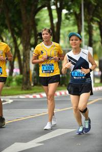 BIB: 1272, 2013
                            <button type="button" onclick="openModal(4680404)" class="btn btn-primary btn-sm float-right btn-popup" data-toggle="modal" data-target=".modal-high-quality">
                        <i class="fas fa-shopping-cart"></i> Add to Cart
                    </button>
                                            <button type="button" onclick="isThisMe(4680404, true)" class="btn btn-success btn-sm float-right btn-popup btn-isme hidden" data-toggle="tooltip" data-placement="bottom" title="นี่คือรูปของคุณใช่ไหม คลิกที่นี่เพื่อเอาเข้าอัลบั้ม">
                        <i class="fas fa-plus"></i> Add to album
                    </button>
                    <button type="button" onclick="isThisMe(4680404, false)" class="btn btn-warning btn-sm float-right btn-popup btn-isnotme hidden">
                        <i class="fas fa-ban"></i> Remove from album
                    </button>