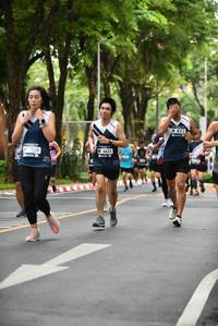 BIB: 8313, 7534, 6624
                            <button type="button" onclick="openModal(4660412)" class="btn btn-primary btn-sm float-right btn-popup" data-toggle="modal" data-target=".modal-high-quality">
                        <i class="fas fa-shopping-cart"></i> Add to Cart
                    </button>
                                            <button type="button" onclick="isThisMe(4660412, true)" class="btn btn-success btn-sm float-right btn-popup btn-isme hidden" data-toggle="tooltip" data-placement="bottom" title="นี่คือรูปของคุณใช่ไหม คลิกที่นี่เพื่อเอาเข้าอัลบั้ม">
                        <i class="fas fa-plus"></i> Add to album
                    </button>
                    <button type="button" onclick="isThisMe(4660412, false)" class="btn btn-warning btn-sm float-right btn-popup btn-isnotme hidden">
                        <i class="fas fa-ban"></i> Remove from album
                    </button>