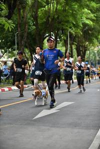 BIB: 092
                            <button type="button" onclick="openModal(4661101)" class="btn btn-primary btn-sm float-right btn-popup" data-toggle="modal" data-target=".modal-high-quality">
                        <i class="fas fa-shopping-cart"></i> Add to Cart
                    </button>
                                            <button type="button" onclick="isThisMe(4661101, true)" class="btn btn-success btn-sm float-right btn-popup btn-isme hidden" data-toggle="tooltip" data-placement="bottom" title="นี่คือรูปของคุณใช่ไหม คลิกที่นี่เพื่อเอาเข้าอัลบั้ม">
                        <i class="fas fa-plus"></i> Add to album
                    </button>
                    <button type="button" onclick="isThisMe(4661101, false)" class="btn btn-warning btn-sm float-right btn-popup btn-isnotme hidden">
                        <i class="fas fa-ban"></i> Remove from album
                    </button>