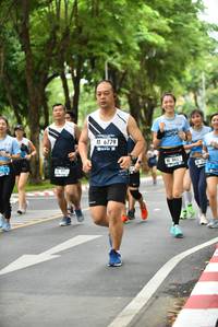 BIB: 6779, 775, 8662
                            <button type="button" onclick="openModal(4679286)" class="btn btn-primary btn-sm float-right btn-popup" data-toggle="modal" data-target=".modal-high-quality">
                        <i class="fas fa-shopping-cart"></i> Add to Cart
                    </button>
                                            <button type="button" onclick="isThisMe(4679286, true)" class="btn btn-success btn-sm float-right btn-popup btn-isme hidden" data-toggle="tooltip" data-placement="bottom" title="นี่คือรูปของคุณใช่ไหม คลิกที่นี่เพื่อเอาเข้าอัลบั้ม">
                        <i class="fas fa-plus"></i> Add to album
                    </button>
                    <button type="button" onclick="isThisMe(4679286, false)" class="btn btn-warning btn-sm float-right btn-popup btn-isnotme hidden">
                        <i class="fas fa-ban"></i> Remove from album
                    </button>