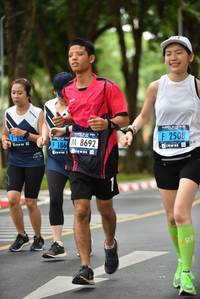 BIB: 186, 8692, 2508
                            <button type="button" onclick="openModal(4679824)" class="btn btn-primary btn-sm float-right btn-popup" data-toggle="modal" data-target=".modal-high-quality">
                        <i class="fas fa-shopping-cart"></i> Add to Cart
                    </button>
                                            <button type="button" onclick="isThisMe(4679824, true)" class="btn btn-success btn-sm float-right btn-popup btn-isme hidden" data-toggle="tooltip" data-placement="bottom" title="นี่คือรูปของคุณใช่ไหม คลิกที่นี่เพื่อเอาเข้าอัลบั้ม">
                        <i class="fas fa-plus"></i> Add to album
                    </button>
                    <button type="button" onclick="isThisMe(4679824, false)" class="btn btn-warning btn-sm float-right btn-popup btn-isnotme hidden">
                        <i class="fas fa-ban"></i> Remove from album
                    </button>