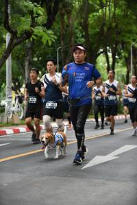 BIB: 8092, 5683
                            <button type="button" onclick="openModal(4661107)" class="btn btn-primary btn-sm float-right btn-popup" data-toggle="modal" data-target=".modal-high-quality">
                        <i class="fas fa-shopping-cart"></i> Add to Cart
                    </button>
                                            <button type="button" onclick="isThisMe(4661107, true)" class="btn btn-success btn-sm float-right btn-popup btn-isme hidden" data-toggle="tooltip" data-placement="bottom" title="นี่คือรูปของคุณใช่ไหม คลิกที่นี่เพื่อเอาเข้าอัลบั้ม">
                        <i class="fas fa-plus"></i> Add to album
                    </button>
                    <button type="button" onclick="isThisMe(4661107, false)" class="btn btn-warning btn-sm float-right btn-popup btn-isnotme hidden">
                        <i class="fas fa-ban"></i> Remove from album
                    </button>