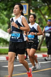 BIB: 1468, 
                            <button type="button" onclick="openModal(4669358)" class="btn btn-primary btn-sm float-right btn-popup" data-toggle="modal" data-target=".modal-high-quality">
                        <i class="fas fa-shopping-cart"></i> Add to Cart
                    </button>
                                            <button type="button" onclick="isThisMe(4669358, true)" class="btn btn-success btn-sm float-right btn-popup btn-isme hidden" data-toggle="tooltip" data-placement="bottom" title="นี่คือรูปของคุณใช่ไหม คลิกที่นี่เพื่อเอาเข้าอัลบั้ม">
                        <i class="fas fa-plus"></i> Add to album
                    </button>
                    <button type="button" onclick="isThisMe(4669358, false)" class="btn btn-warning btn-sm float-right btn-popup btn-isnotme hidden">
                        <i class="fas fa-ban"></i> Remove from album
                    </button>