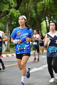 BIB: 2023, 2491
                            <button type="button" onclick="openModal(4668579)" class="btn btn-primary btn-sm float-right btn-popup" data-toggle="modal" data-target=".modal-high-quality">
                        <i class="fas fa-shopping-cart"></i> Add to Cart
                    </button>
                                            <button type="button" onclick="isThisMe(4668579, true)" class="btn btn-success btn-sm float-right btn-popup btn-isme hidden" data-toggle="tooltip" data-placement="bottom" title="นี่คือรูปของคุณใช่ไหม คลิกที่นี่เพื่อเอาเข้าอัลบั้ม">
                        <i class="fas fa-plus"></i> Add to album
                    </button>
                    <button type="button" onclick="isThisMe(4668579, false)" class="btn btn-warning btn-sm float-right btn-popup btn-isnotme hidden">
                        <i class="fas fa-ban"></i> Remove from album
                    </button>