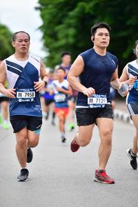 BIB: 7958, 7129
                            <button type="button" onclick="openModal(4629018)" class="btn btn-primary btn-sm float-right btn-popup" data-toggle="modal" data-target=".modal-high-quality">
                        <i class="fas fa-shopping-cart"></i> Add to Cart
                    </button>
                                            <button type="button" onclick="isThisMe(4629018, true)" class="btn btn-success btn-sm float-right btn-popup btn-isme hidden" data-toggle="tooltip" data-placement="bottom" title="นี่คือรูปของคุณใช่ไหม คลิกที่นี่เพื่อเอาเข้าอัลบั้ม">
                        <i class="fas fa-plus"></i> Add to album
                    </button>
                    <button type="button" onclick="isThisMe(4629018, false)" class="btn btn-warning btn-sm float-right btn-popup btn-isnotme hidden">
                        <i class="fas fa-ban"></i> Remove from album
                    </button>