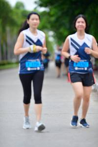 BIB: 
                            <button type="button" onclick="openModal(4598041)" class="btn btn-primary btn-sm float-right btn-popup" data-toggle="modal" data-target=".modal-high-quality">
                        <i class="fas fa-shopping-cart"></i> Add to Cart
                    </button>
                                            <button type="button" onclick="isThisMe(4598041, true)" class="btn btn-success btn-sm float-right btn-popup btn-isme hidden" data-toggle="tooltip" data-placement="bottom" title="นี่คือรูปของคุณใช่ไหม คลิกที่นี่เพื่อเอาเข้าอัลบั้ม">
                        <i class="fas fa-plus"></i> Add to album
                    </button>
                    <button type="button" onclick="isThisMe(4598041, false)" class="btn btn-warning btn-sm float-right btn-popup btn-isnotme hidden">
                        <i class="fas fa-ban"></i> Remove from album
                    </button>