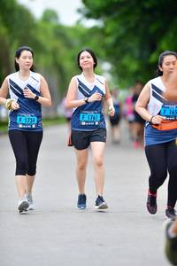 BIB: 165, 1761, 1734
                            <button type="button" onclick="openModal(4598000)" class="btn btn-primary btn-sm float-right btn-popup" data-toggle="modal" data-target=".modal-high-quality">
                        <i class="fas fa-shopping-cart"></i> Add to Cart
                    </button>
                                            <button type="button" onclick="isThisMe(4598000, true)" class="btn btn-success btn-sm float-right btn-popup btn-isme hidden" data-toggle="tooltip" data-placement="bottom" title="นี่คือรูปของคุณใช่ไหม คลิกที่นี่เพื่อเอาเข้าอัลบั้ม">
                        <i class="fas fa-plus"></i> Add to album
                    </button>
                    <button type="button" onclick="isThisMe(4598000, false)" class="btn btn-warning btn-sm float-right btn-popup btn-isnotme hidden">
                        <i class="fas fa-ban"></i> Remove from album
                    </button>