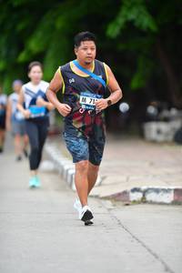 BIB: 
                            <button type="button" onclick="openModal(4617845)" class="btn btn-primary btn-sm float-right btn-popup" data-toggle="modal" data-target=".modal-high-quality">
                        <i class="fas fa-shopping-cart"></i> Add to Cart
                    </button>
                                            <button type="button" onclick="isThisMe(4617845, true)" class="btn btn-success btn-sm float-right btn-popup btn-isme hidden" data-toggle="tooltip" data-placement="bottom" title="นี่คือรูปของคุณใช่ไหม คลิกที่นี่เพื่อเอาเข้าอัลบั้ม">
                        <i class="fas fa-plus"></i> Add to album
                    </button>
                    <button type="button" onclick="isThisMe(4617845, false)" class="btn btn-warning btn-sm float-right btn-popup btn-isnotme hidden">
                        <i class="fas fa-ban"></i> Remove from album
                    </button>