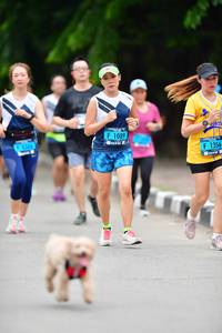 BIB: 1089, 1356
                            <button type="button" onclick="openModal(4605776)" class="btn btn-primary btn-sm float-right btn-popup" data-toggle="modal" data-target=".modal-high-quality">
                        <i class="fas fa-shopping-cart"></i> Add to Cart
                    </button>
                                            <button type="button" onclick="isThisMe(4605776, true)" class="btn btn-success btn-sm float-right btn-popup btn-isme hidden" data-toggle="tooltip" data-placement="bottom" title="นี่คือรูปของคุณใช่ไหม คลิกที่นี่เพื่อเอาเข้าอัลบั้ม">
                        <i class="fas fa-plus"></i> Add to album
                    </button>
                    <button type="button" onclick="isThisMe(4605776, false)" class="btn btn-warning btn-sm float-right btn-popup btn-isnotme hidden">
                        <i class="fas fa-ban"></i> Remove from album
                    </button>