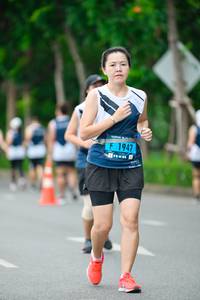 BIB: 
                            <button type="button" onclick="openModal(4718134)" class="btn btn-primary btn-sm float-right btn-popup" data-toggle="modal" data-target=".modal-high-quality">
                        <i class="fas fa-shopping-cart"></i> Add to Cart
                    </button>
                                            <button type="button" onclick="isThisMe(4718134, true)" class="btn btn-success btn-sm float-right btn-popup btn-isme hidden" data-toggle="tooltip" data-placement="bottom" title="นี่คือรูปของคุณใช่ไหม คลิกที่นี่เพื่อเอาเข้าอัลบั้ม">
                        <i class="fas fa-plus"></i> Add to album
                    </button>
                    <button type="button" onclick="isThisMe(4718134, false)" class="btn btn-warning btn-sm float-right btn-popup btn-isnotme hidden">
                        <i class="fas fa-ban"></i> Remove from album
                    </button>