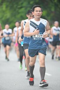 BIB: 7379
                            <button type="button" onclick="openModal(4601207)" class="btn btn-primary btn-sm float-right btn-popup" data-toggle="modal" data-target=".modal-high-quality">
                        <i class="fas fa-shopping-cart"></i> Add to Cart
                    </button>
                                            <button type="button" onclick="isThisMe(4601207, true)" class="btn btn-success btn-sm float-right btn-popup btn-isme hidden" data-toggle="tooltip" data-placement="bottom" title="นี่คือรูปของคุณใช่ไหม คลิกที่นี่เพื่อเอาเข้าอัลบั้ม">
                        <i class="fas fa-plus"></i> Add to album
                    </button>
                    <button type="button" onclick="isThisMe(4601207, false)" class="btn btn-warning btn-sm float-right btn-popup btn-isnotme hidden">
                        <i class="fas fa-ban"></i> Remove from album
                    </button>